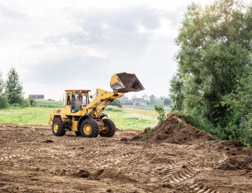 Land Clearing Services vs. Tree Removal: What East Troy Property Owners Need in 2024